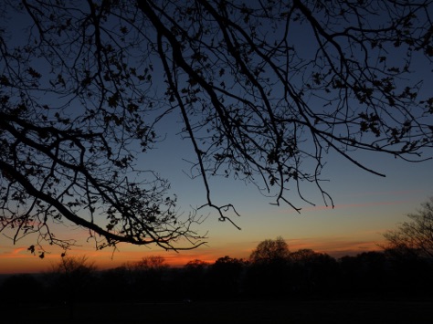 Richmond Park