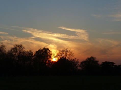 Richmond Park